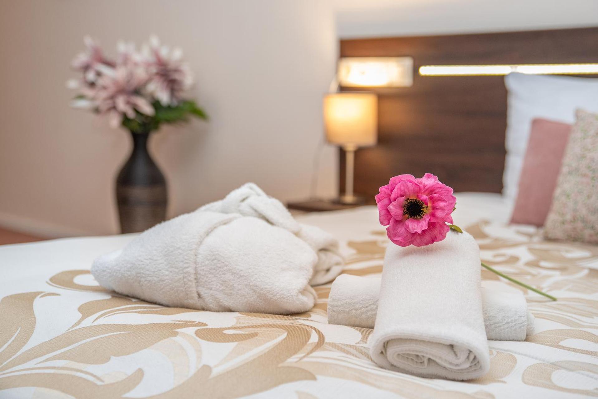 Termál Vesta Hotel *